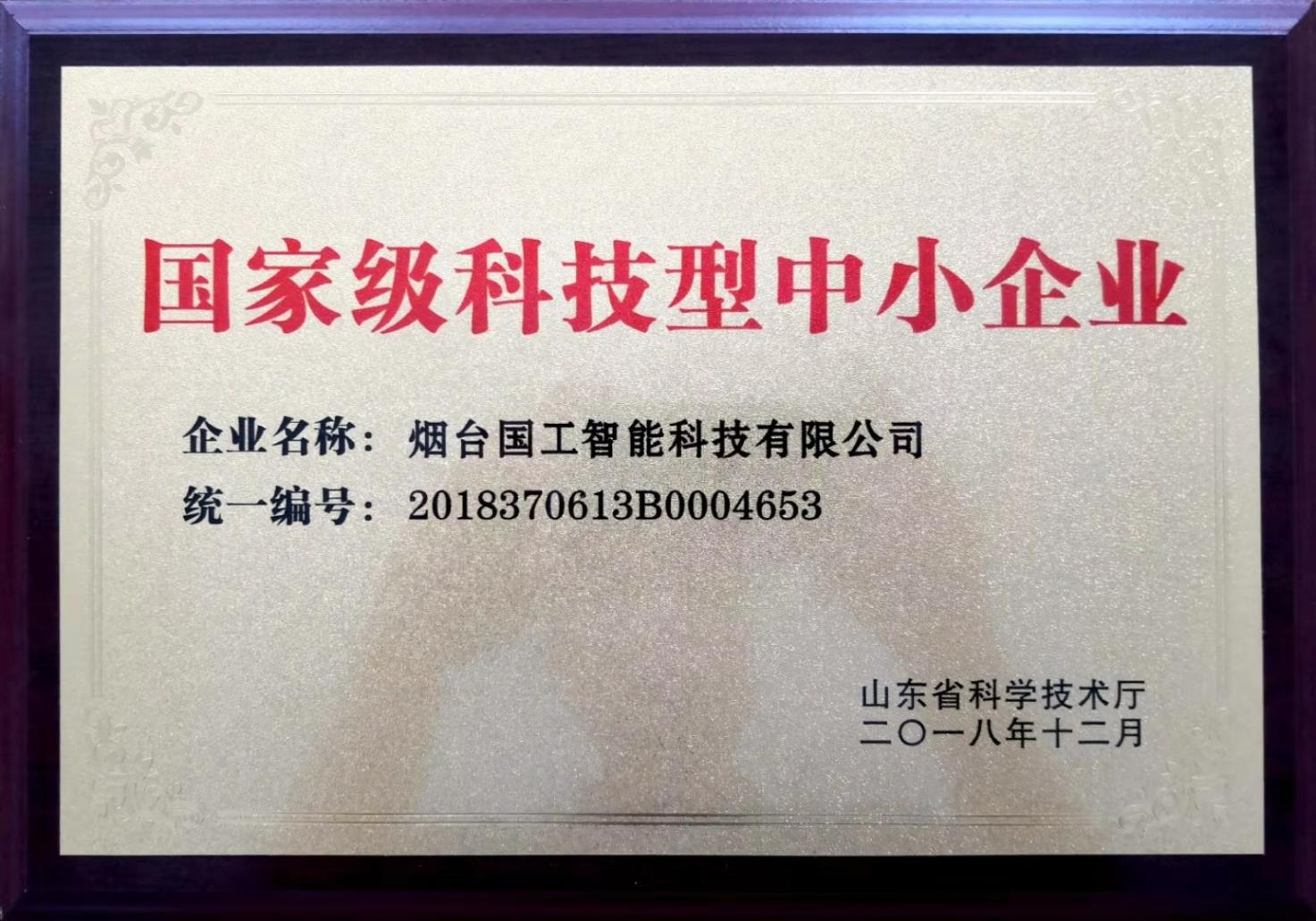 國(guó)家級(jí)科技型中小企業(yè)